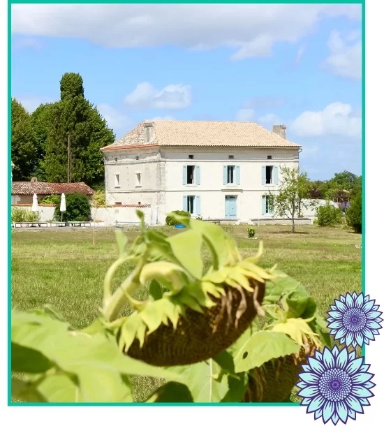 French Retreat Top Image